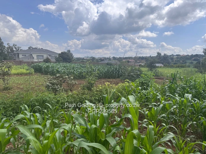 Build Your Dream Home In The Grange (Sole Mandate)