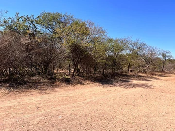 Stands & Residential Land