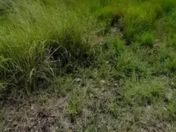 Commercial & Industrial Land