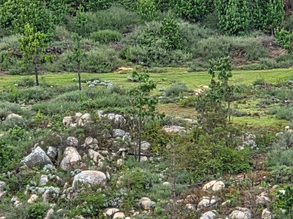 Commercial & Industrial Land