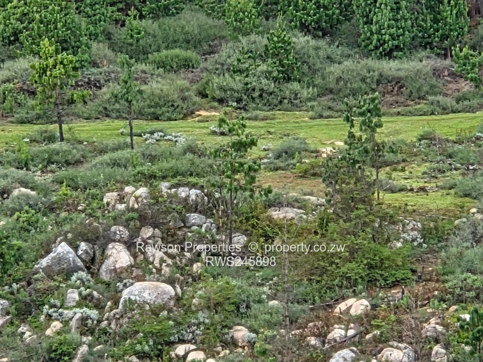 Prime 4.2ha Commercial Land with Panoramic Nyanga Views