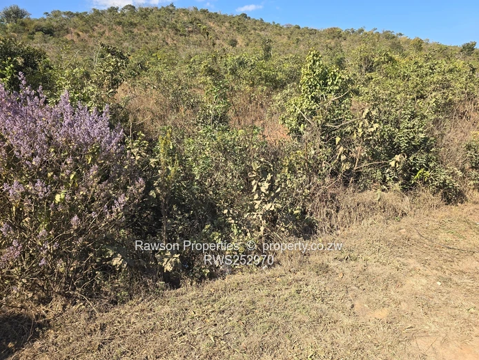 3245 m² Roadside Stand in Murambi — Highway Frontage & Hill Views