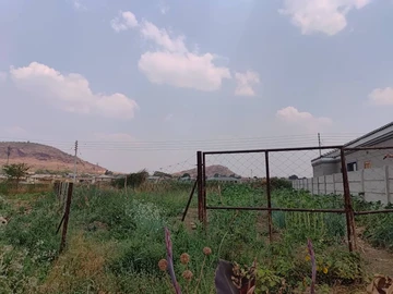 Stands & Residential Land