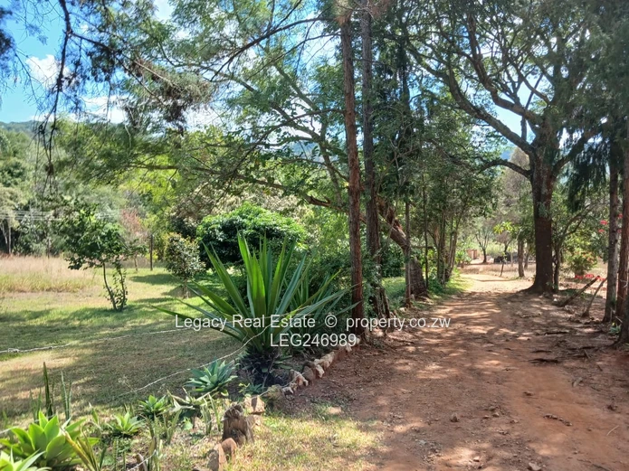 Peaceful Family Home | Christon Bank | Us$360,000