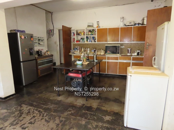 Position and Potential in Alexandra Park!