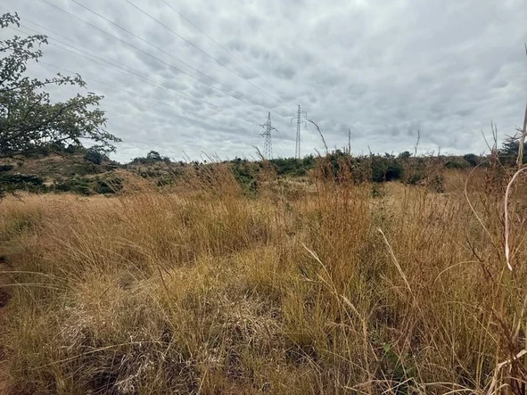 Commercial & Industrial Land