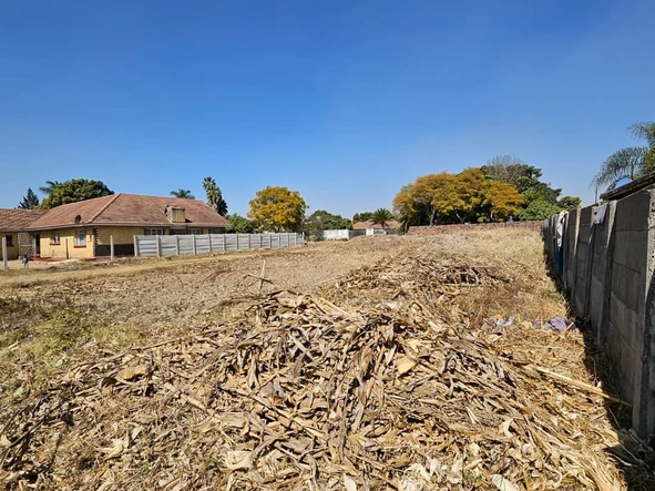 Stands & Residential Land