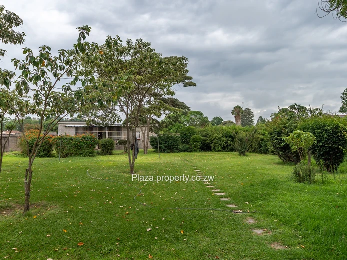 Prime Estate in Hatfield — Near St Patrick’s | Family Home, Cluster Development or Horticulture