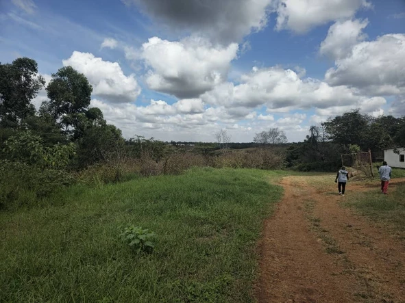 Farm & Agricultural Land