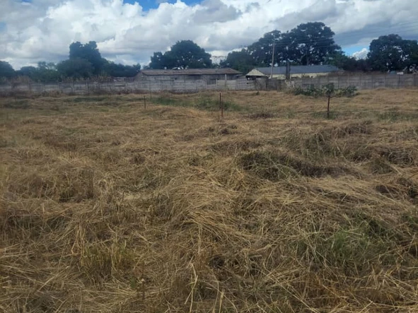 Stands & Residential Land