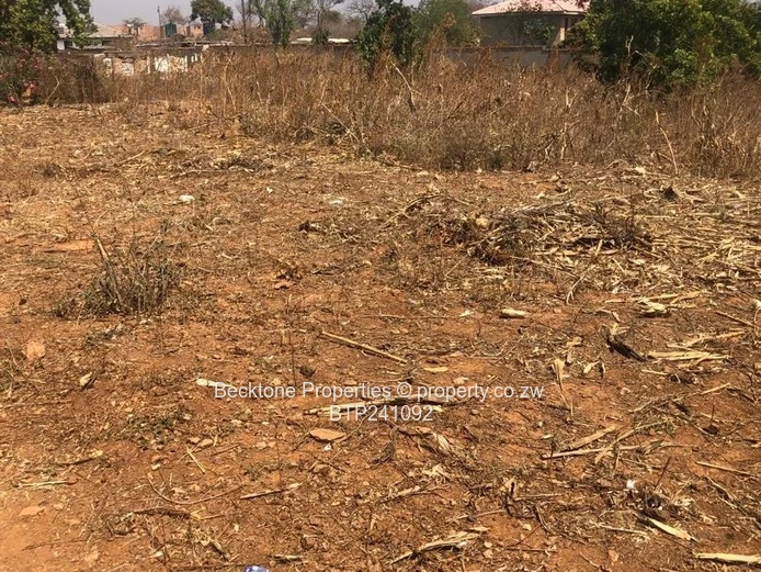 Charming Buena Vista Cottage For Sale