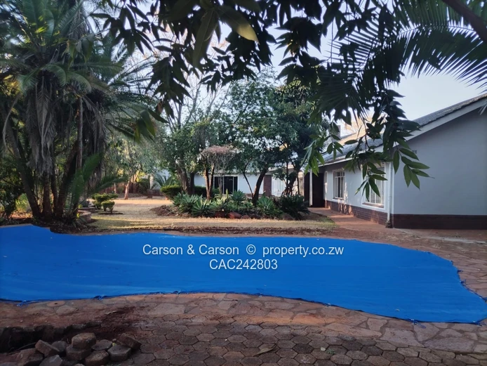 A stone thrown away from Harare International 