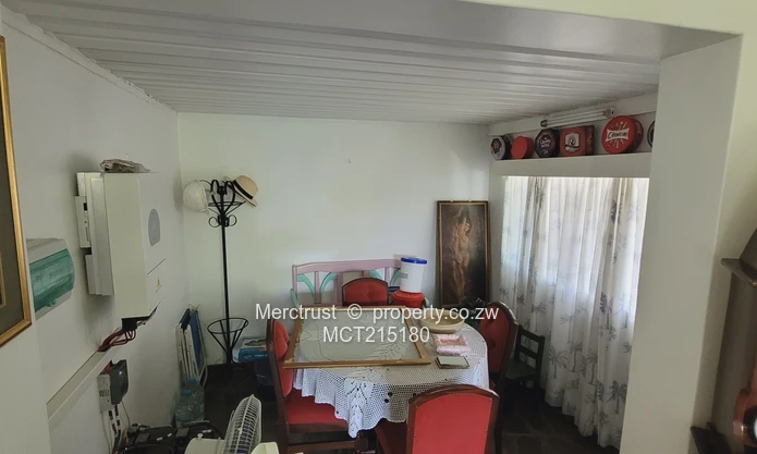 Absolutely immaculate! (Sole Mandate)