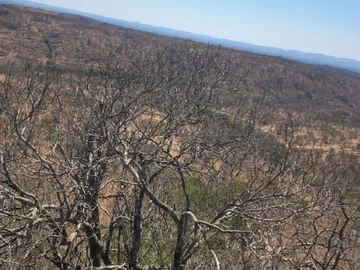 Farm & Agricultural Land