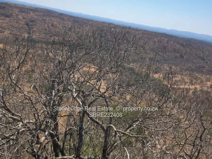 Prime Land for sale in Esigodini