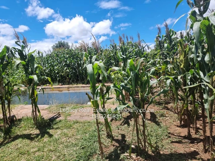 Subdivided Property With Development Potential In Old Marlborough