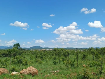 Commercial & Industrial Land