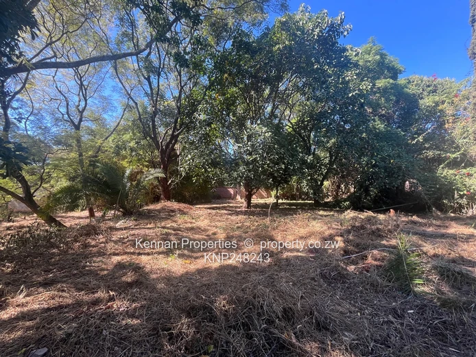 2.5 acres of land on North Road