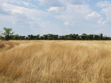 Farm & Agricultural Land