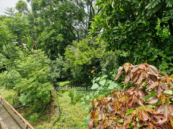 Interesting Investment Opportunity 