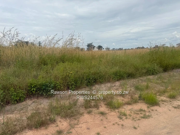 Make a good choice and secure a stand!!