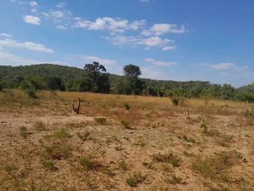 Farm & Agricultural Land