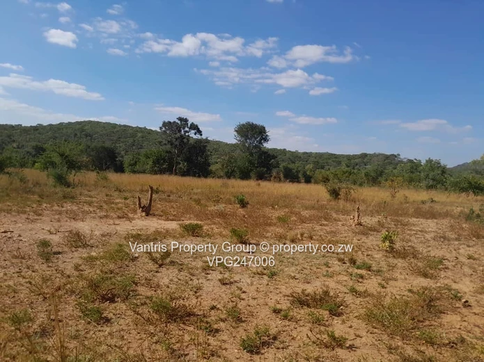 Mhangura River Ranch plot for sale !! (Sole Mandate)