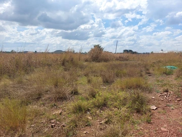 Stands & Residential Land