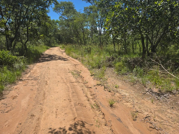Farm & Agricultural Land