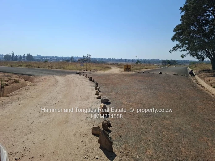 Athelney Estate Ruwa Stand For Sale