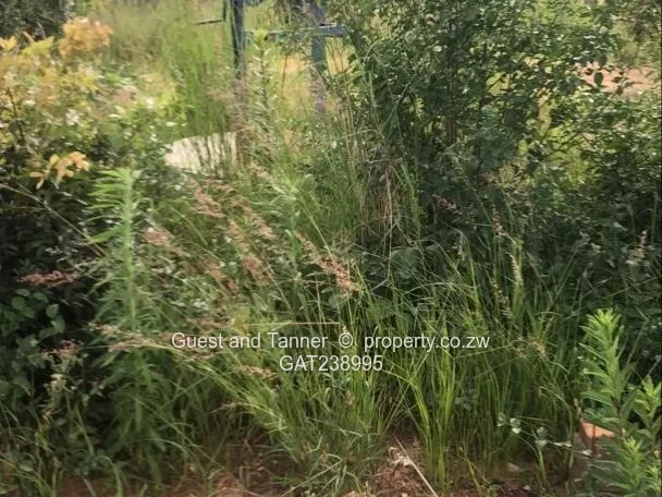 Residential Stand For Sale In Rockview