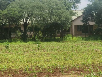 Farm & Agricultural Land