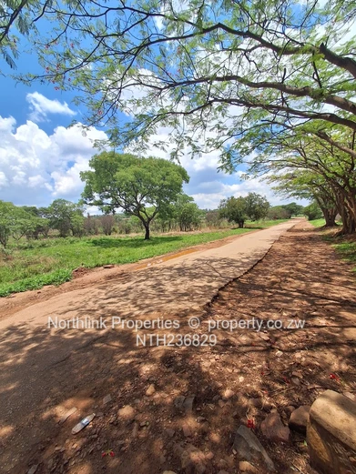 Vacant residential stands 