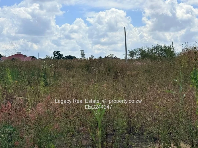 Good Investment Opportunity - Corner Stand in a Prime location.