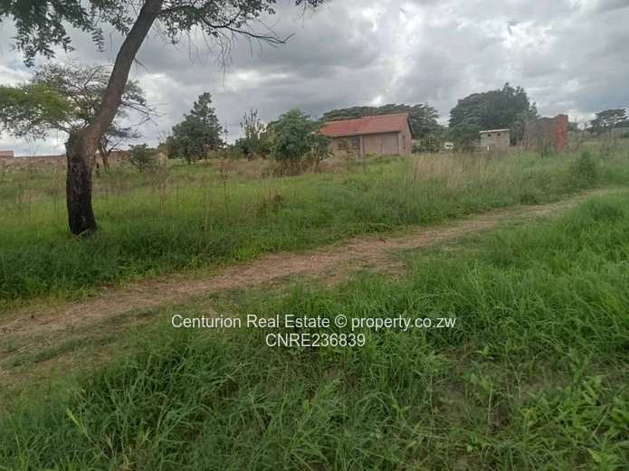 Rydale ridge stand for sale