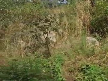 Prime 1000m² Land in Crowhill Views, Harare North
