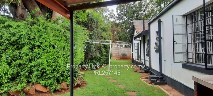 Ridge Road Prime Avondale Golden Oldie