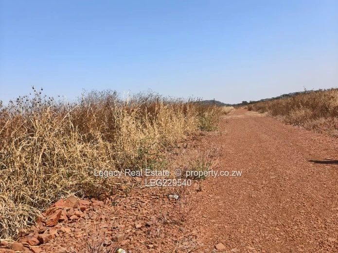 Spitzkop Stands for Sale