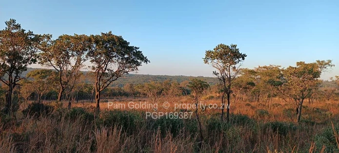 Goromonzi  Agro/Residential Plot!!!!!!!!!!