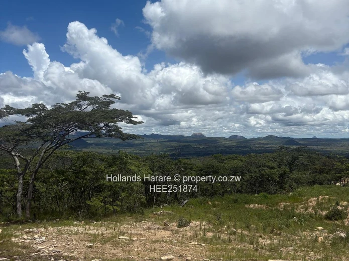 Rodel Township - Nyanga