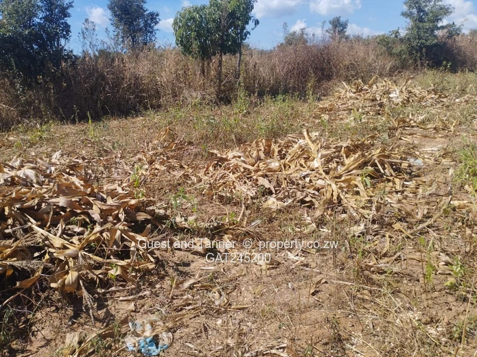 Residential Land For Sale In Buckland Terraces Estate Pomona