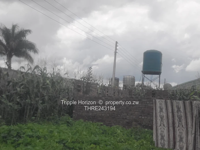 Great investment opportunity 