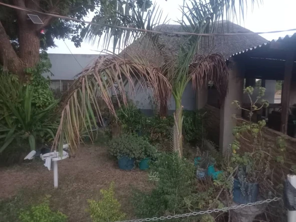 Shop & Retail Property