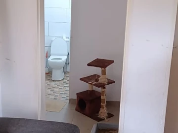 2 Bedroom Flat & Apartment