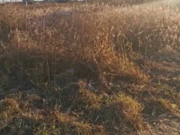 Commercial & Industrial Land