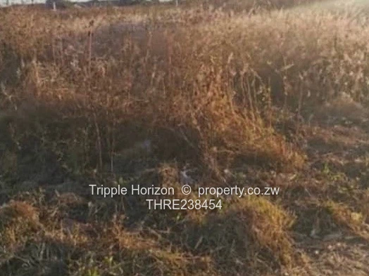 Damafalls indrustral stand 