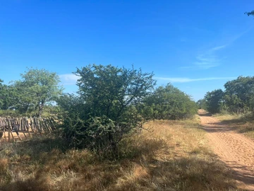 Farm & Agricultural Land