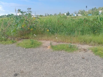 Commercial & Industrial Land