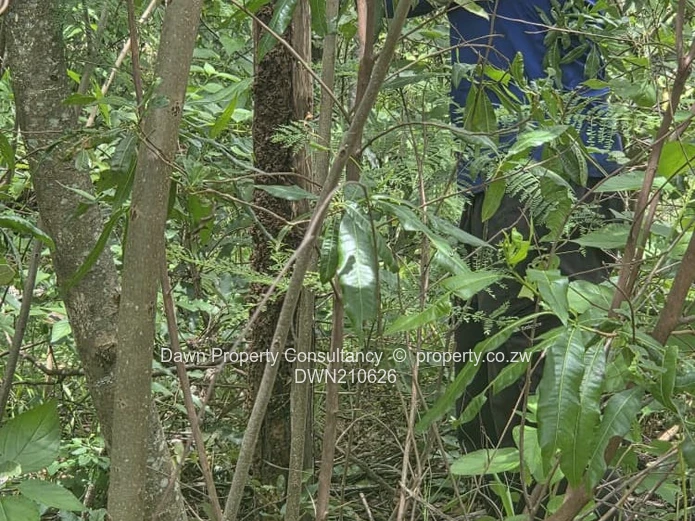 Residential stand for sale in the esteemed Ruwa Country Club