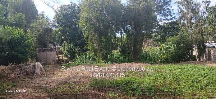 Lush 4217m² Meyrick Park Stand with Mature Shade Tree